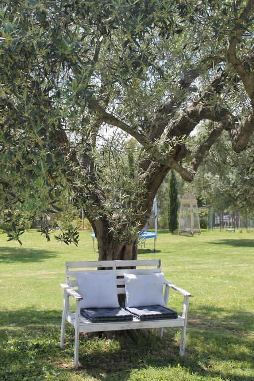Borgo S.Maria Di Vulci Konuk evi Montalto di Castro Dış mekan fotoğraf