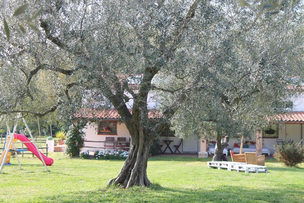 Borgo S.Maria Di Vulci Konuk evi Montalto di Castro Dış mekan fotoğraf