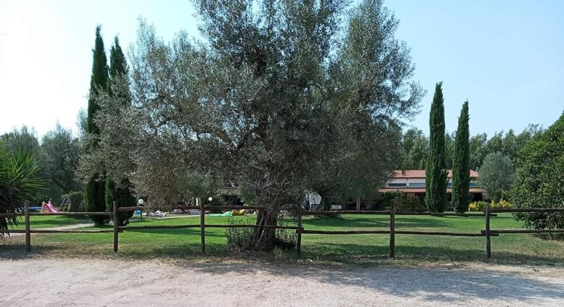 Borgo S.Maria Di Vulci Konuk evi Montalto di Castro Dış mekan fotoğraf